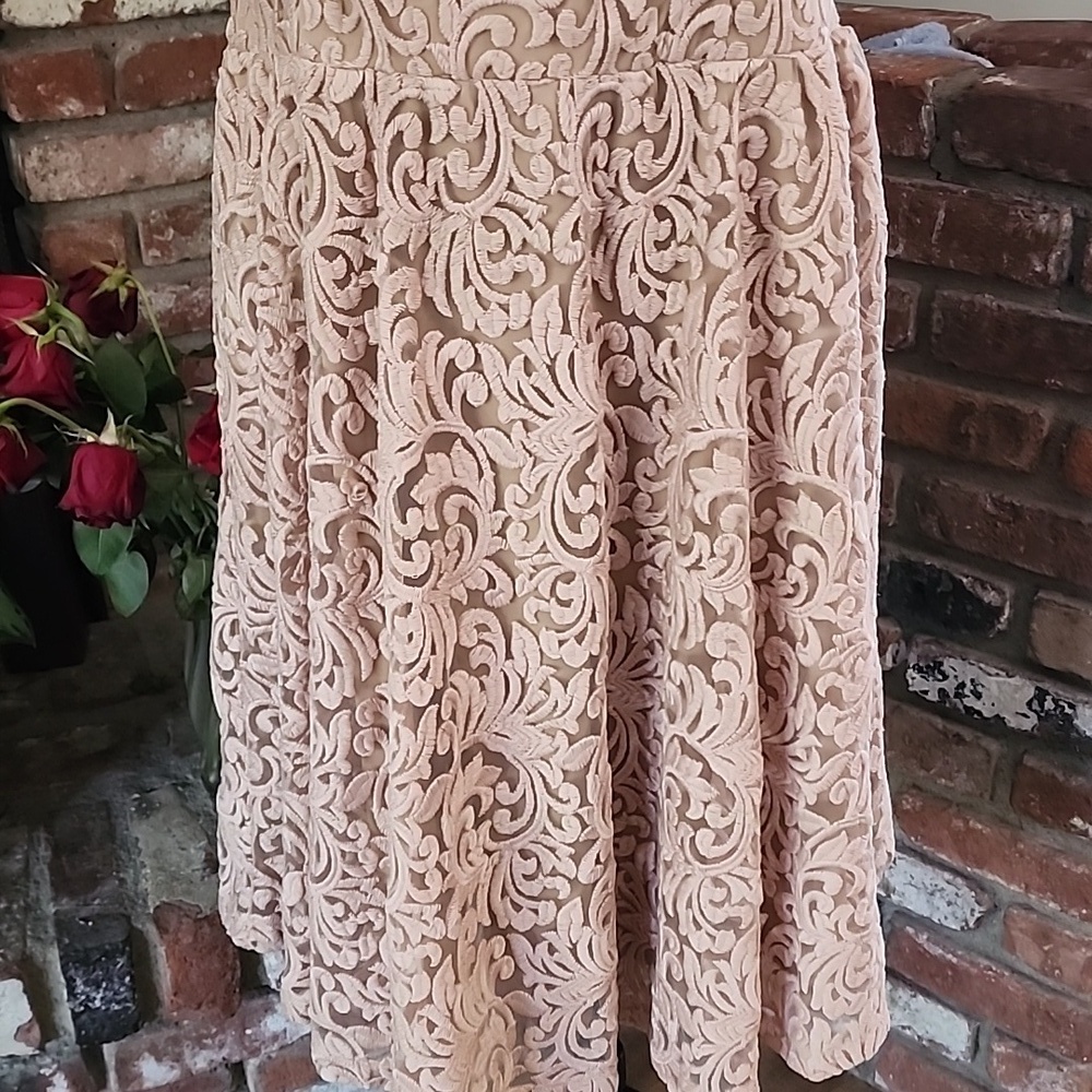 Marc Bouwer Embroidered Lace Blush Pink Midi Dress Fairycore Romantic Size L - Picture 4 of 12